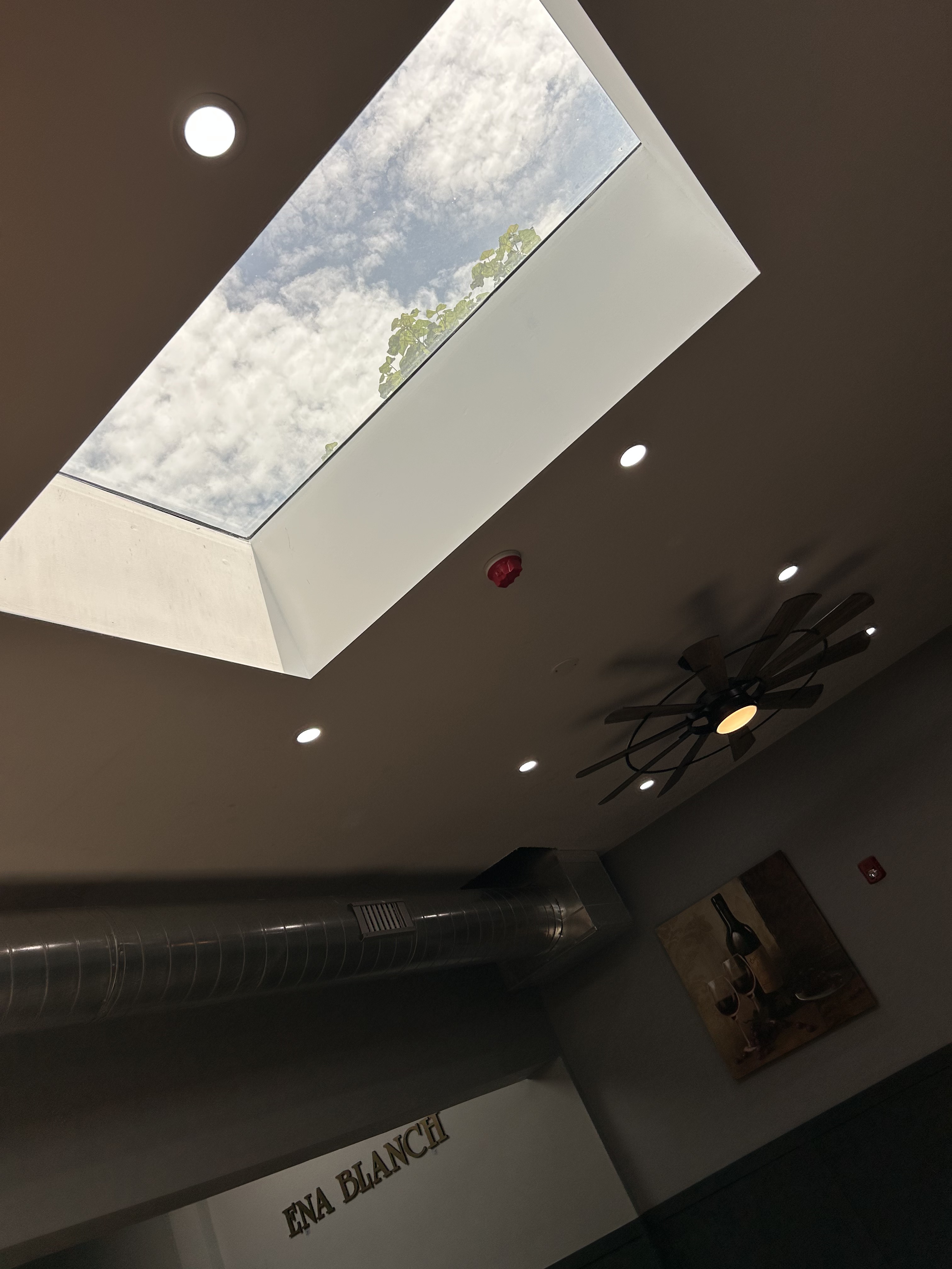 EnaBlanche chandelier
